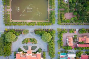 TẠI SAO CẦN CẮT TỈA CÂY XANH ĐÔ THỊ